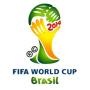 巴西世界杯决赛