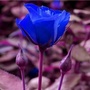 生活领悟