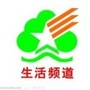 生活时报