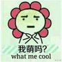 表情辑