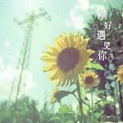 美妆学徒___晓修