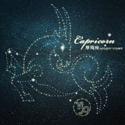 摩羯座Capricorn 