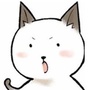 APP蘑菇仔