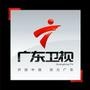 广东卫视