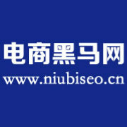 电商黑马网