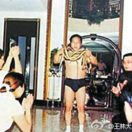 王林大师_