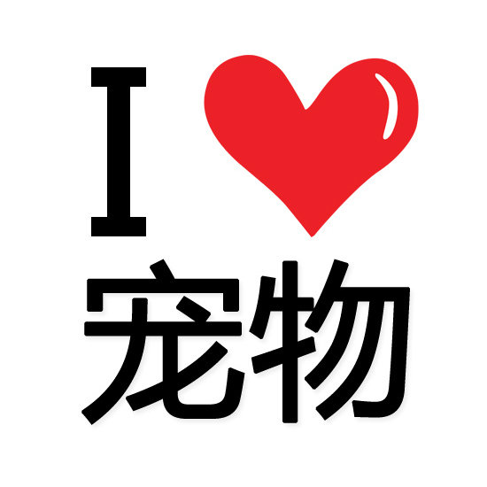宠物知识