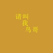 pc半岛人V