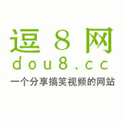 逗8网