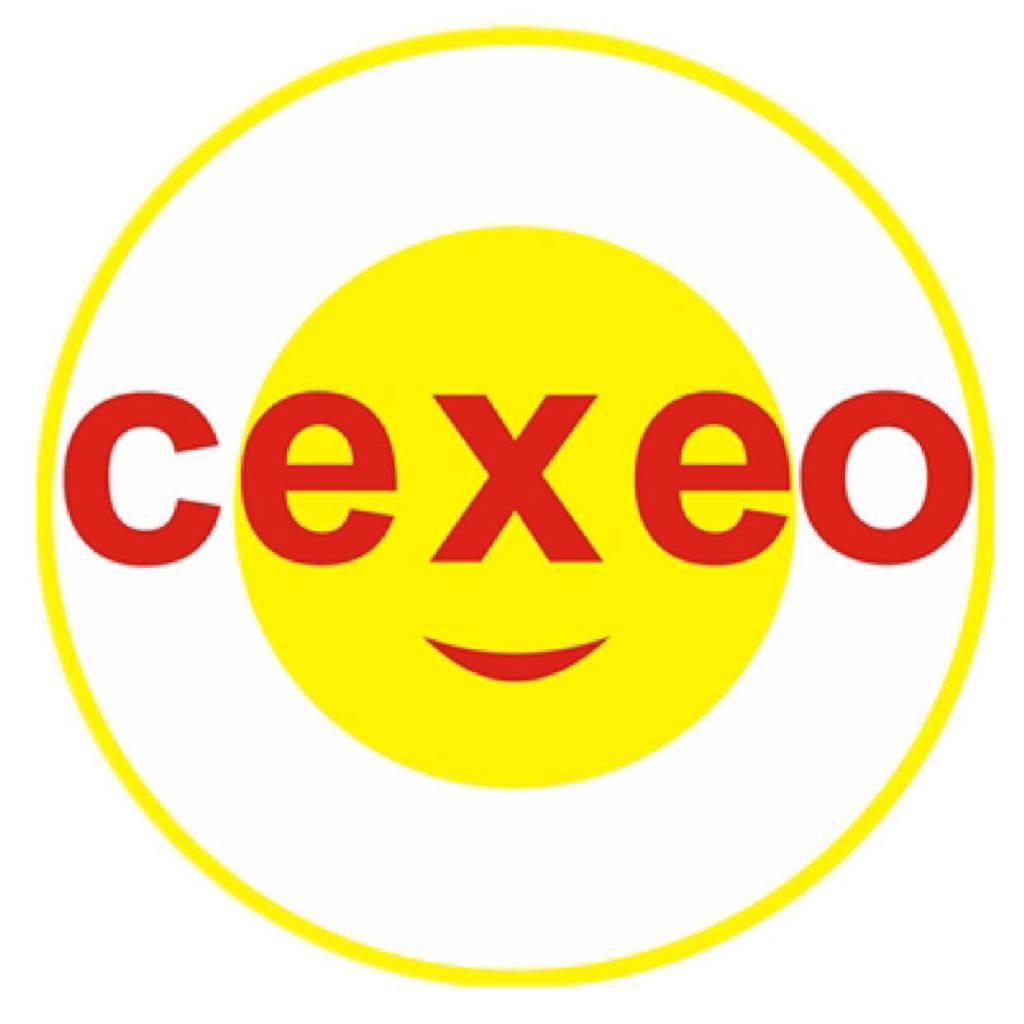 CEO首席执行官V