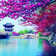 有爱无锡
