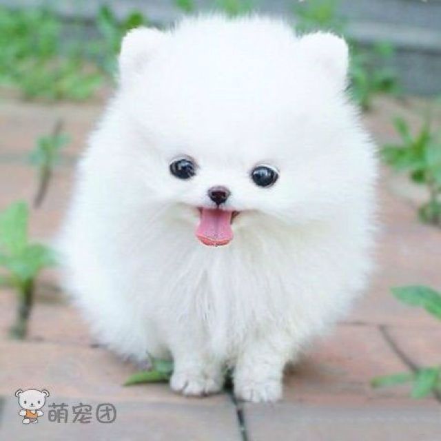 南京林业大学数学系
