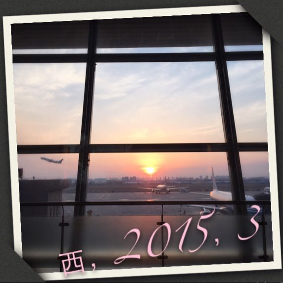西西帮倒忙日本代购