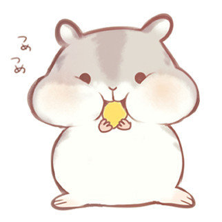 Share_晓