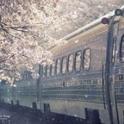 水滴咖啡kuk