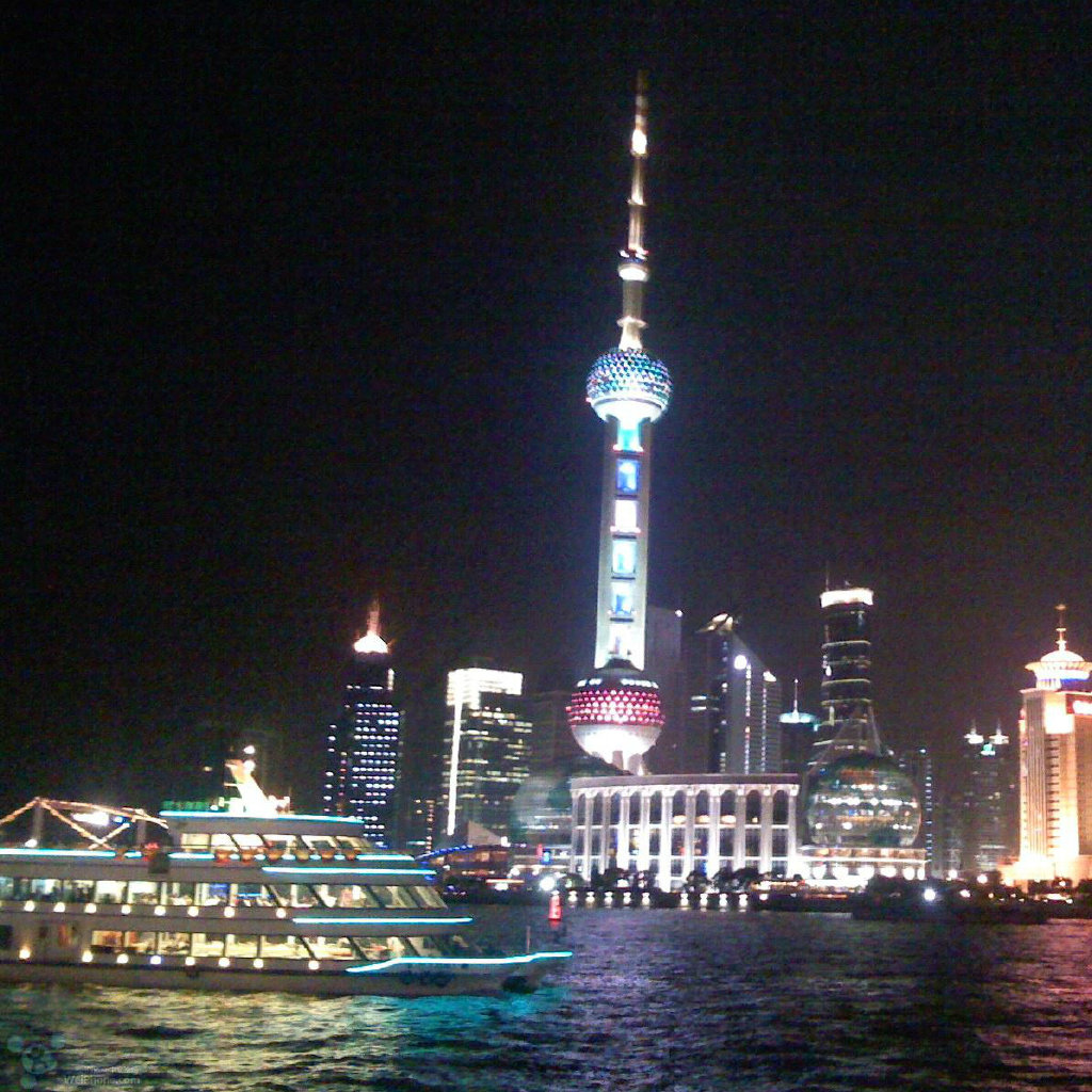 上海热门新资讯