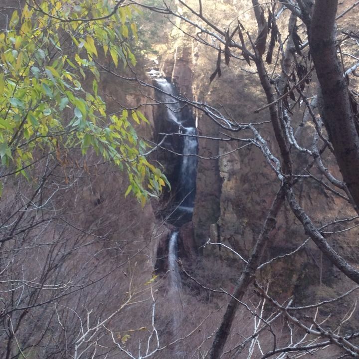 闹闹闹展他