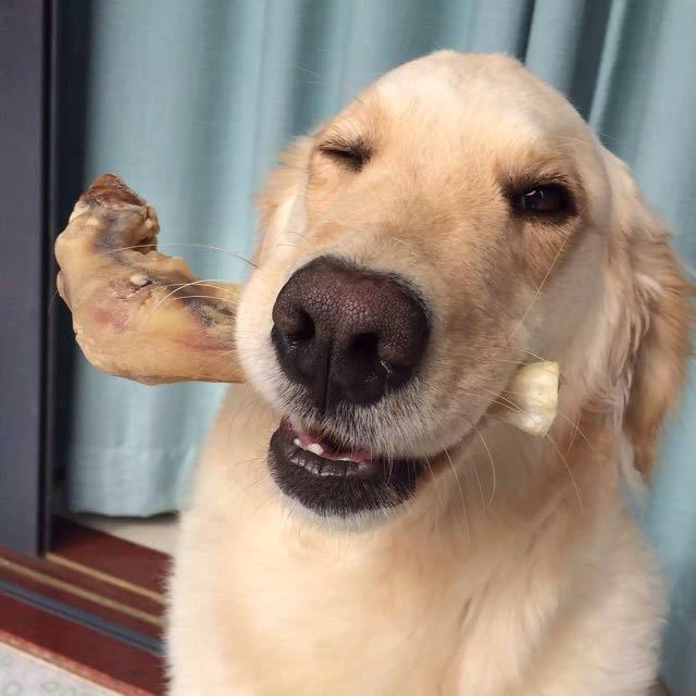 知乎掌柜