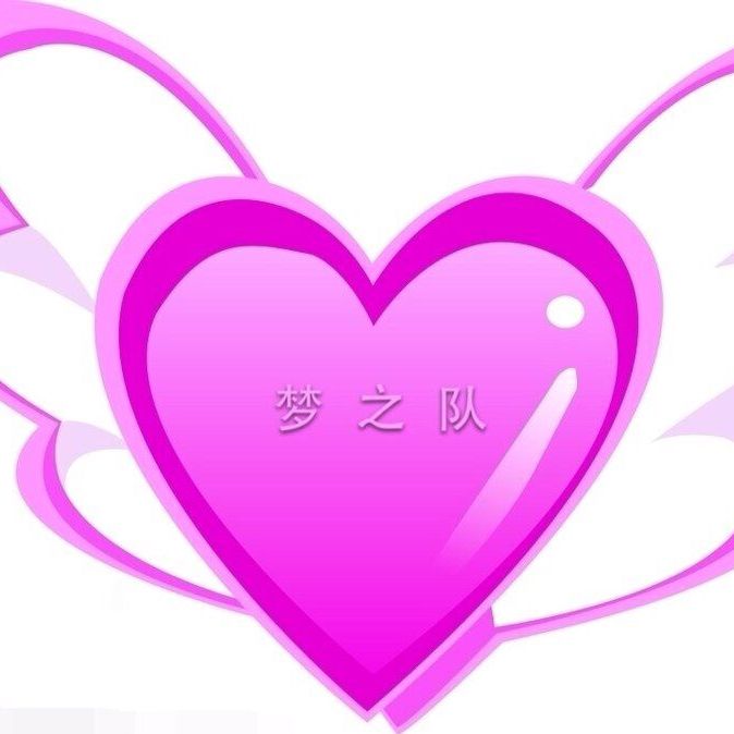 梦之团队2014