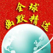 全球幽默精选