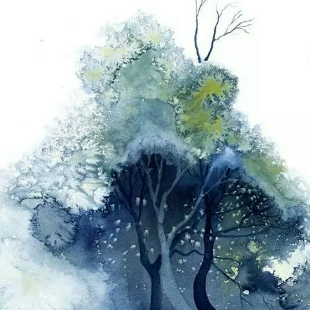 v青木堂