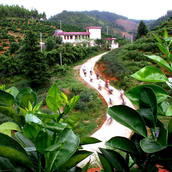 绿色有机生态园