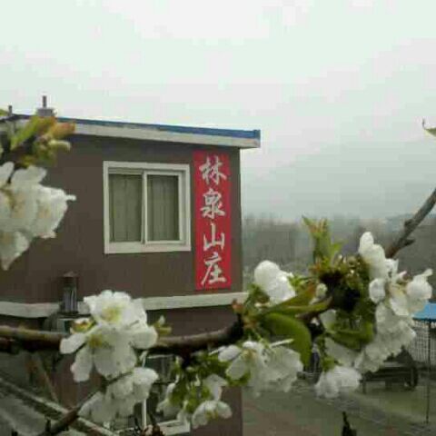 林泉山庄农家院