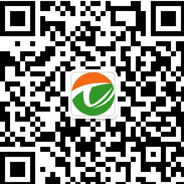 中国统计网