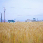 一次旅行一份记忆
