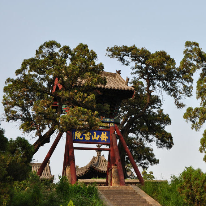 灰毛驴驴上山