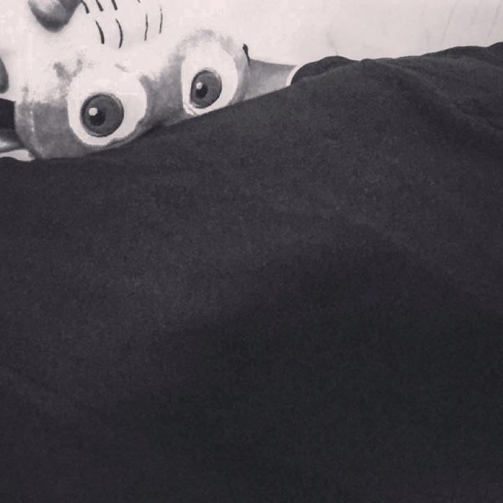 KoenyPlague