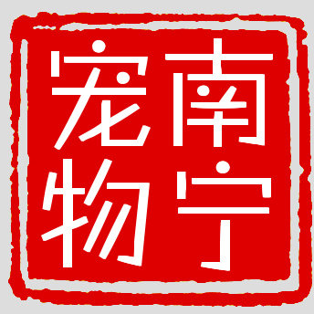 一条狗专用