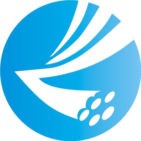 泸州信息网