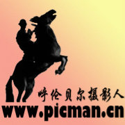 呼伦贝尔摄影人网