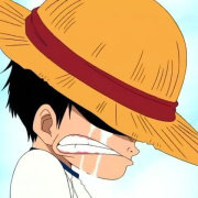 搭车旅行疯