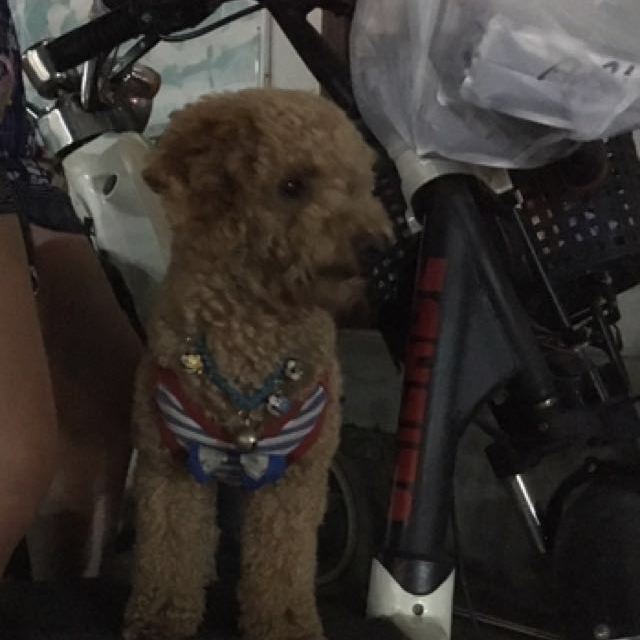 忽远又忽近要保持魅力