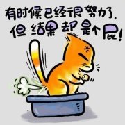 笑话智慧集锦