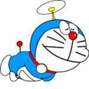 寻宠启事