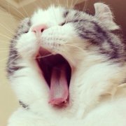 如水女人