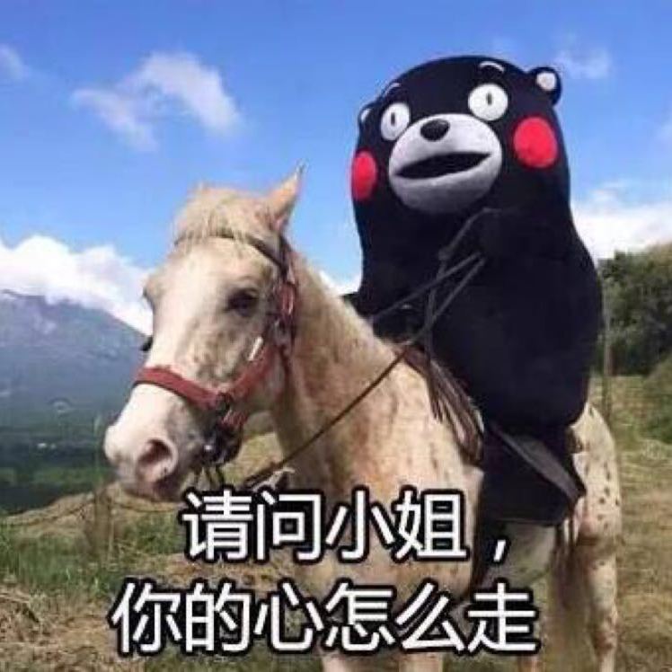 吴鹏晖