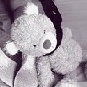 全球萌物搜集