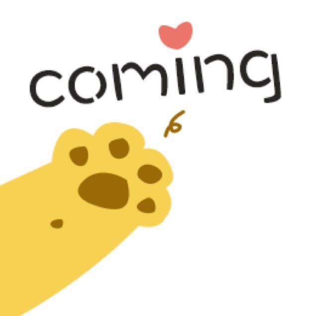 COMING宠物管家