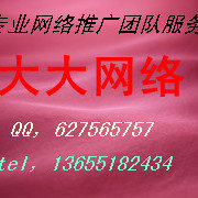 大大网络--参与数量