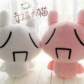 囧兔兔讲笑话