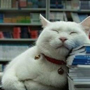适情雅趣_Cat
