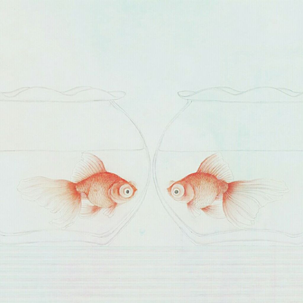 贺宁_