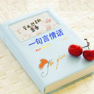 一句言情话