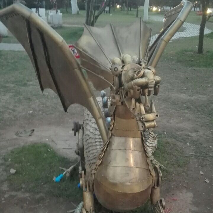 石头学飞
