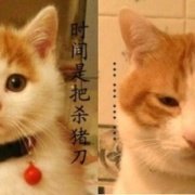 80后精选