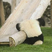 笑料一箩筐